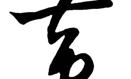 权威老虎草主治什么病平台,分享专业老虎爪草药有什么功效和作用知识_老虎爪草药用价值网
